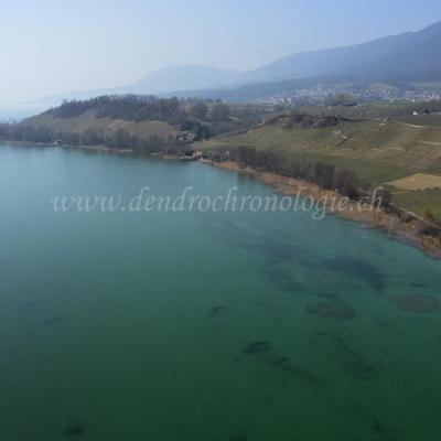 Prospection-Cortaillod-22-FL