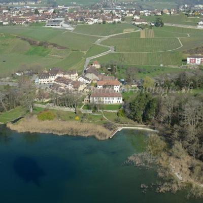 Prospection-Cortaillod01-FL
