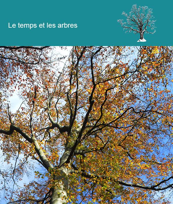 Le temps et les arbres