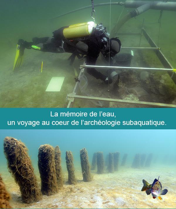 Memoire de l eau