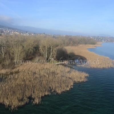 Vues aériennes du littoral neuchâtelois