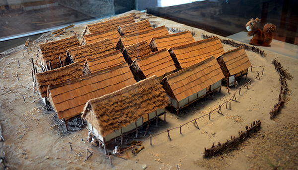 Cort est maquette fl