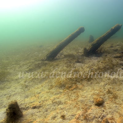 Cortaillod les esserts03 fl