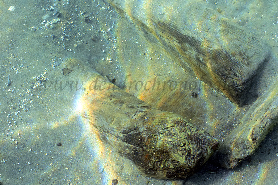 Dsc 0565 nab