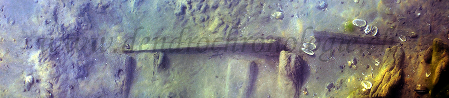 E552 561 a na