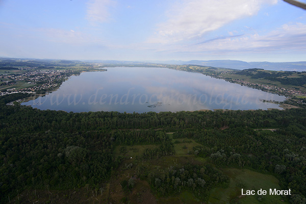 Lac de morat 1