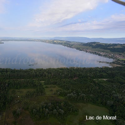 Lac de morat 1