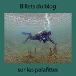 Plongeur blog